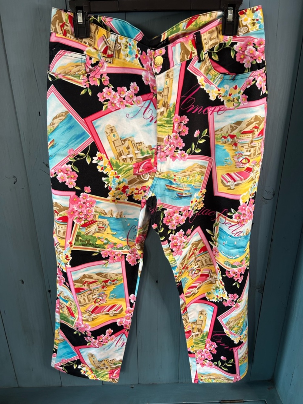 Vintage New York & Company Black Floral Scenic Capri Pants | Size 12